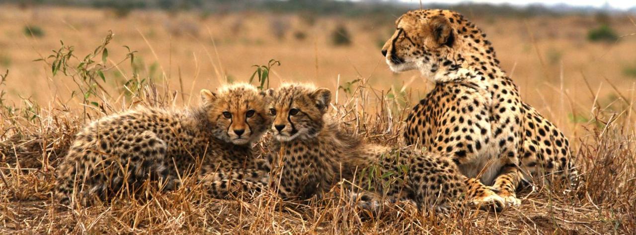 Sungulwane Private Game Lodge Hluhluwe Εξωτερικό φωτογραφία
