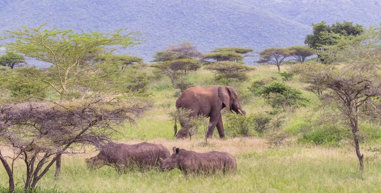 Sungulwane Private Game Lodge Hluhluwe Εξωτερικό φωτογραφία