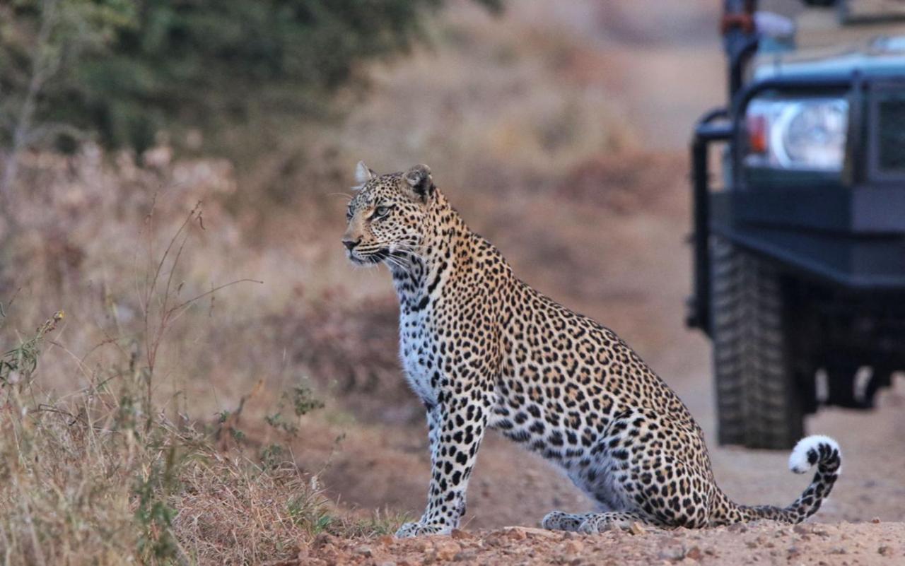 Sungulwane Private Game Lodge Hluhluwe Εξωτερικό φωτογραφία
