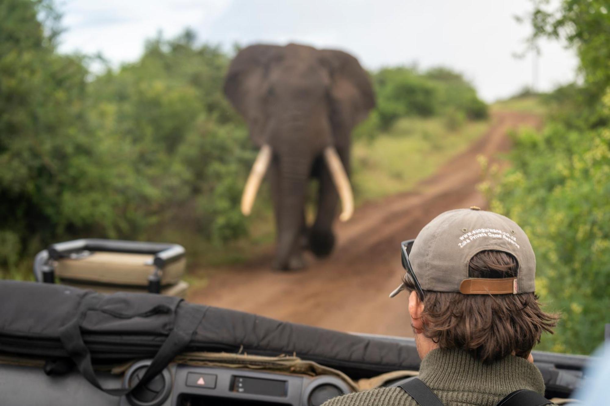 Sungulwane Private Game Lodge Hluhluwe Εξωτερικό φωτογραφία
